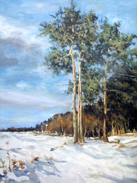Сосны. Холст-масло, 85 x 65 см.